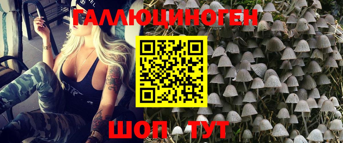 Котельники  Псилоцибиновые грибы мухоморы  где найти   Псилоцибиновые грибы мицелий  Вход с VPN 